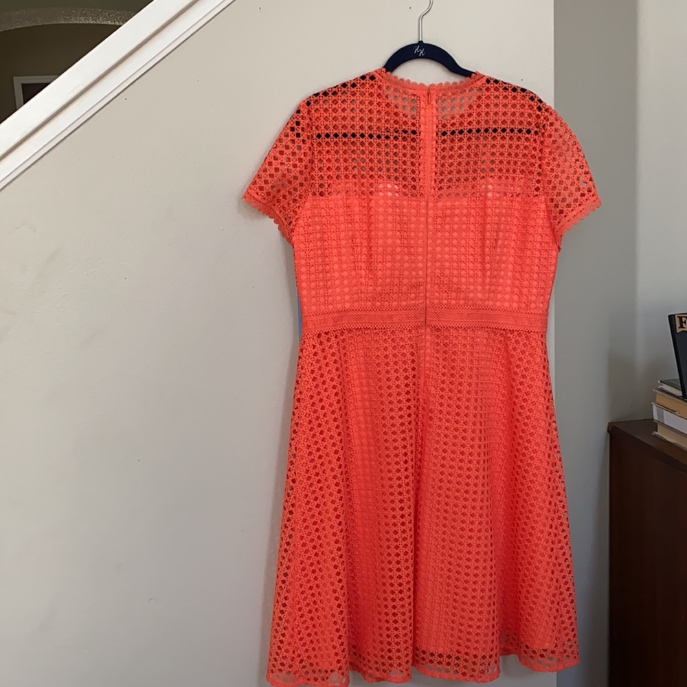 FIRM..Antonio Melani Stella Lace Scallop A Line Dress. - Picture 3 of 13